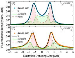 Excitation spectra with polarization-dependent interference