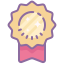 Icon of a prize medal